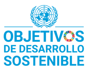 S-SDG-logo-with-UN-Emblem_Square_WEB_transparent-400x318