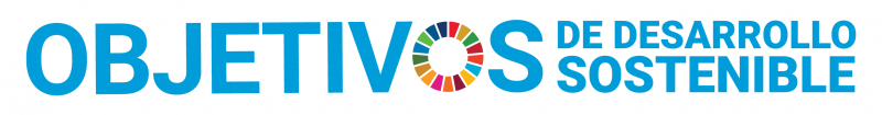 S_SDG_logo_without_UN_emblem_horizontal_WEB-800x105
