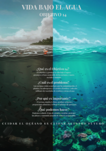 VIDA_BAJO_EL_AGUA___OBJETIVO_14